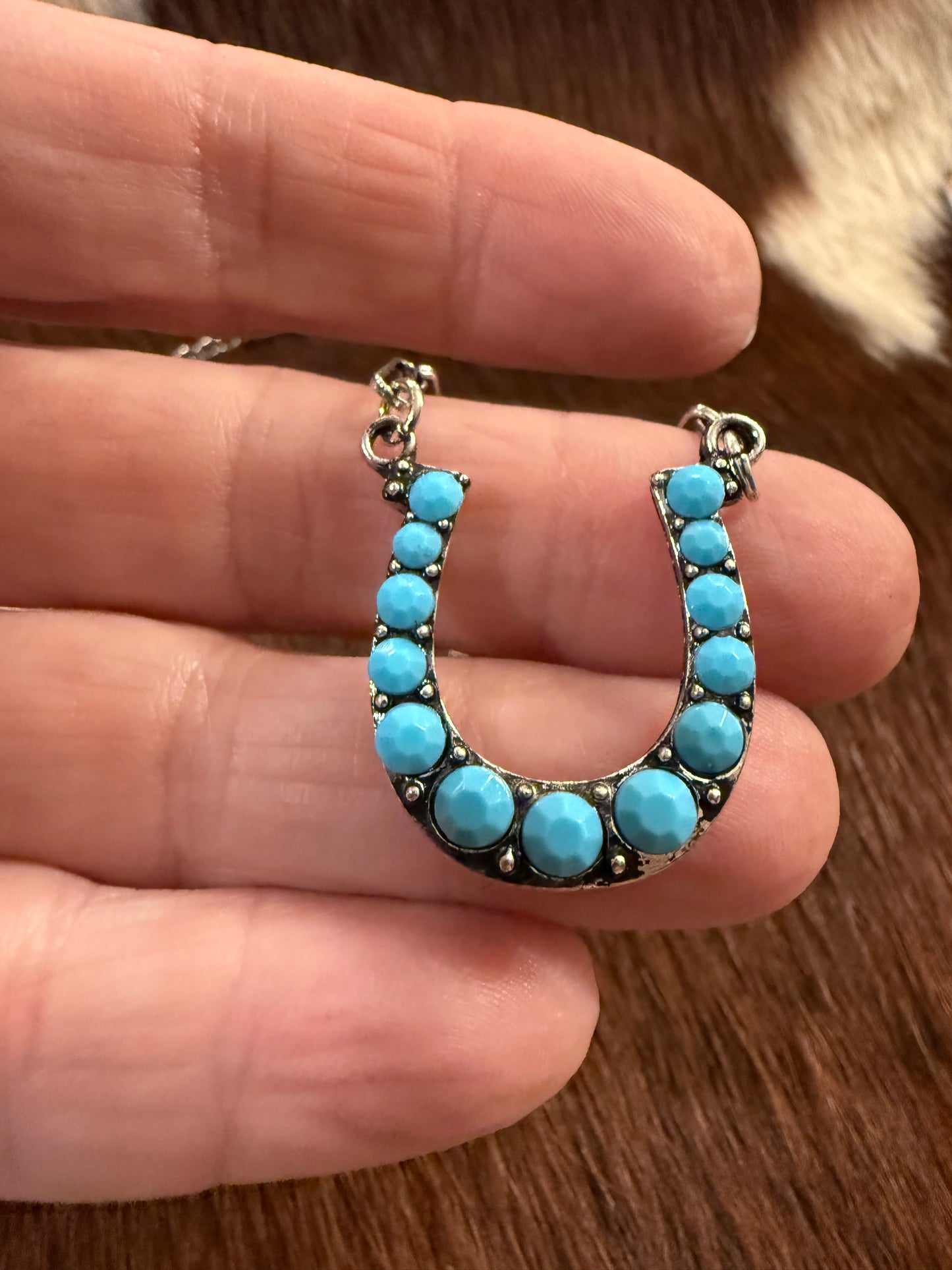 Horseshoe Hanny Necklace