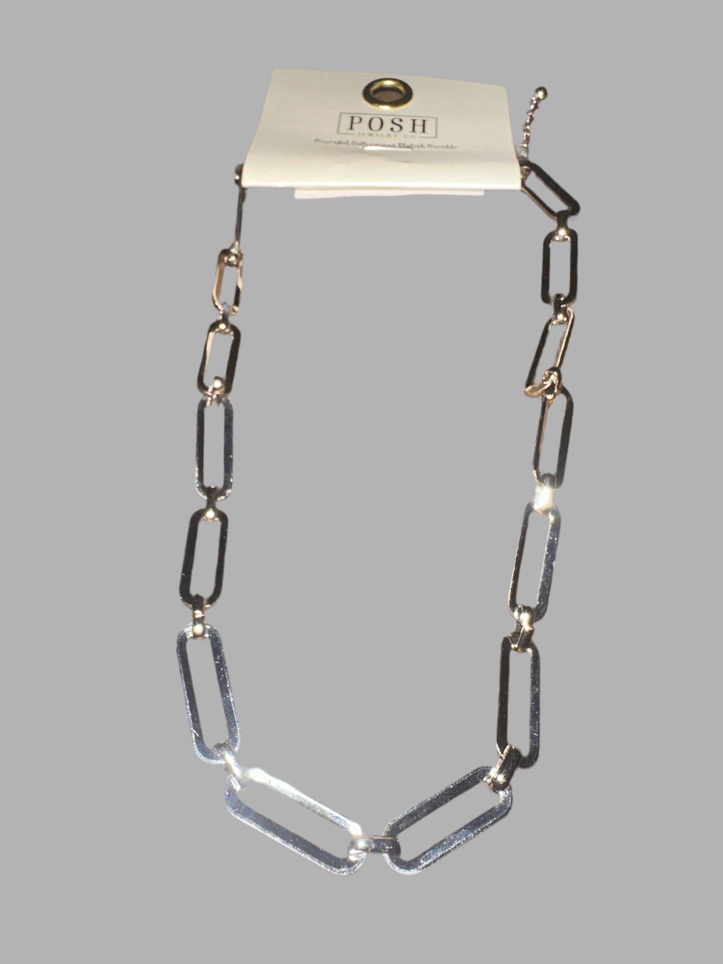 Posh Paperclip Necklace
