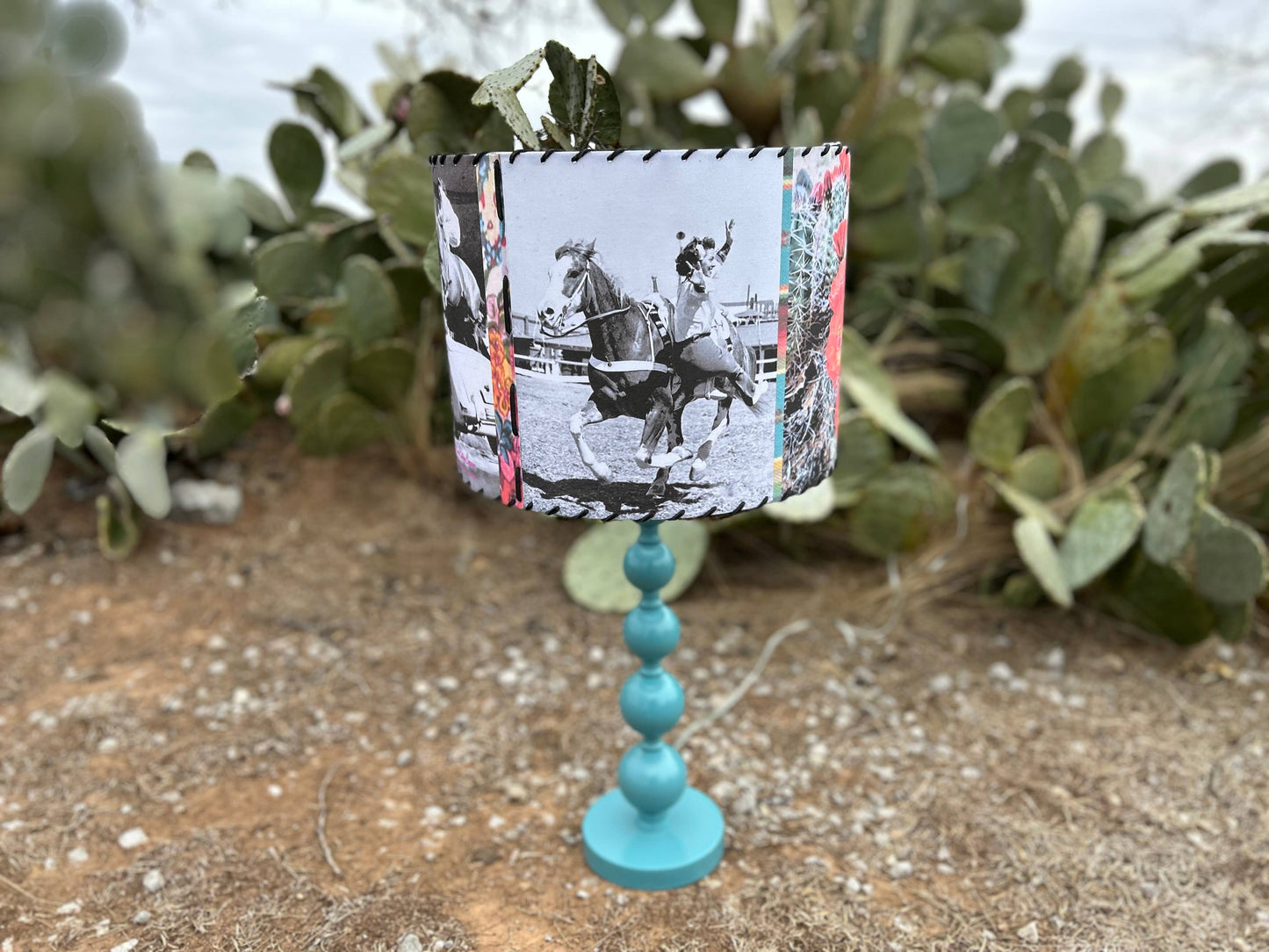 Lampshade Trick Rider