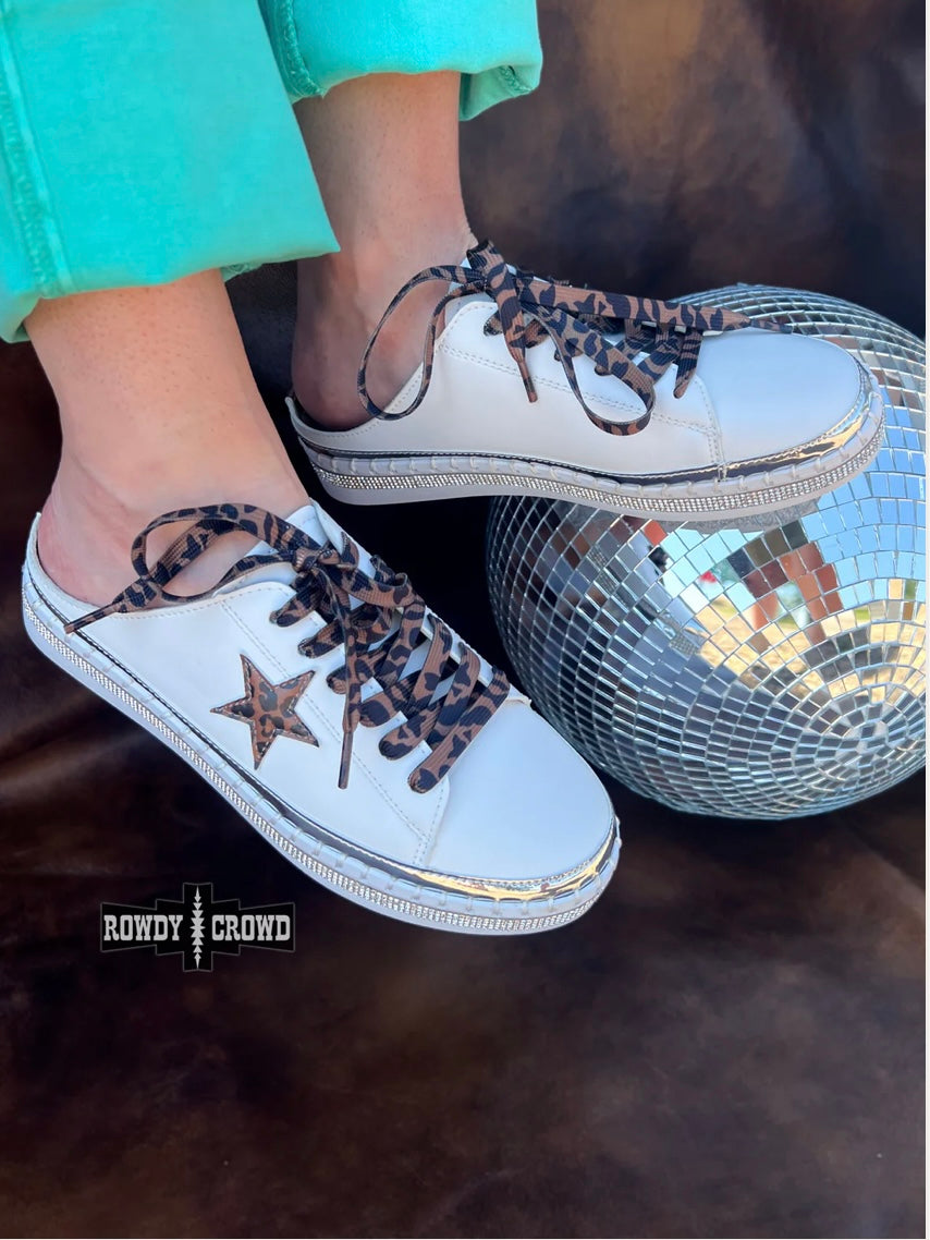 Silver Spring Slides