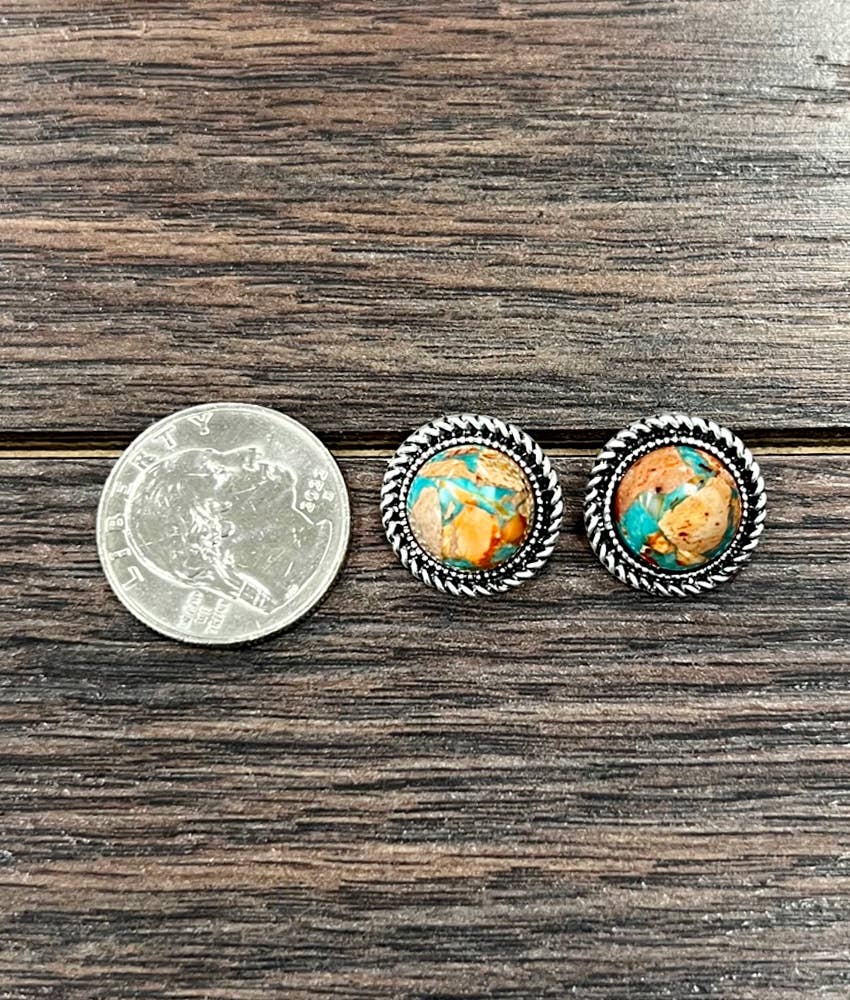 Kingsport Western 12mm Gemstone Stud Earrings
