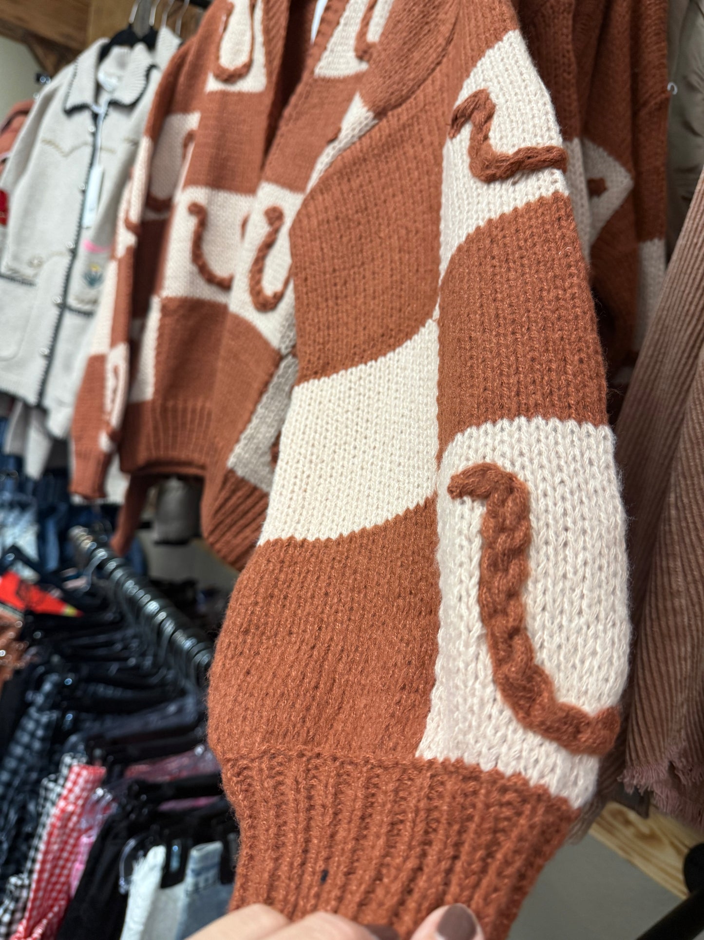 Brown Horse Shoe Cardigan