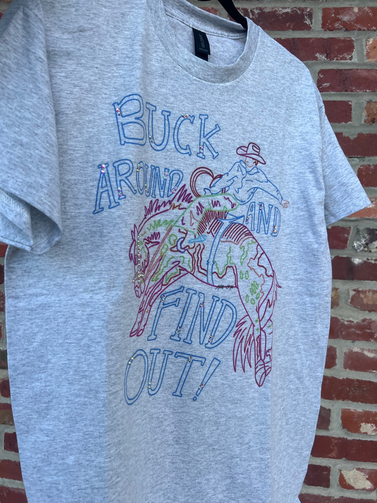 Buck Around And Find Out Tee