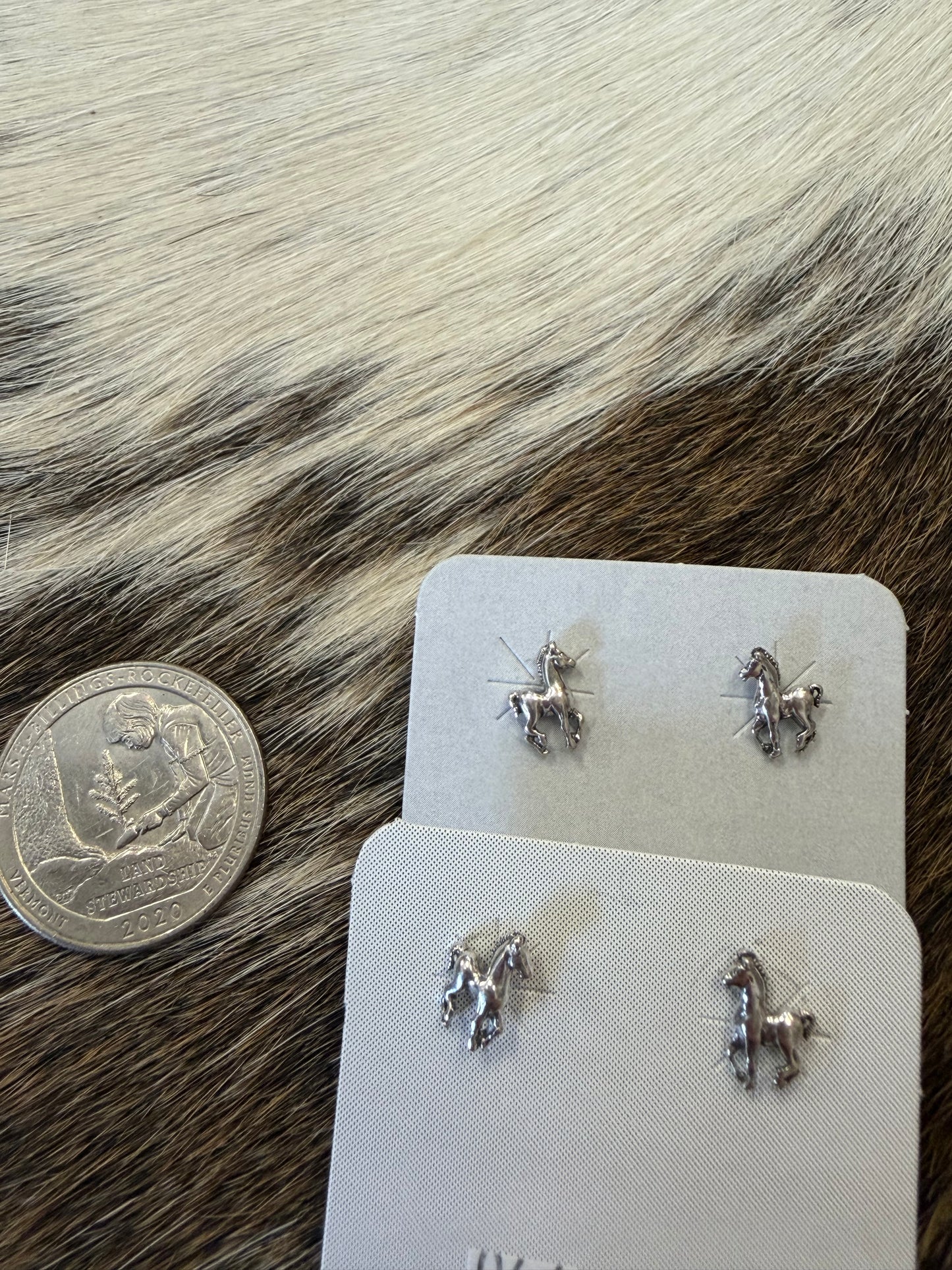 Pony Express Earrings