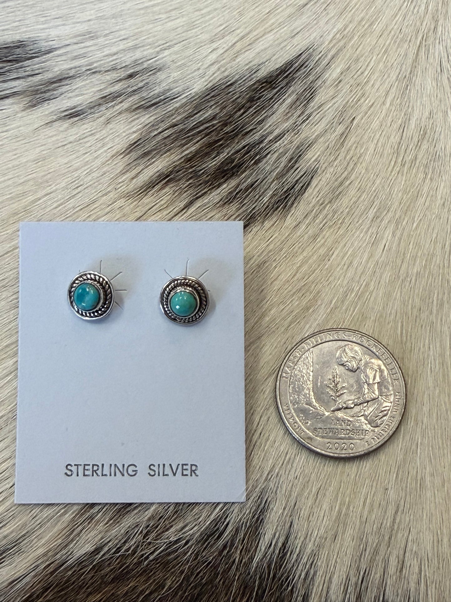 Little Bit Earrings