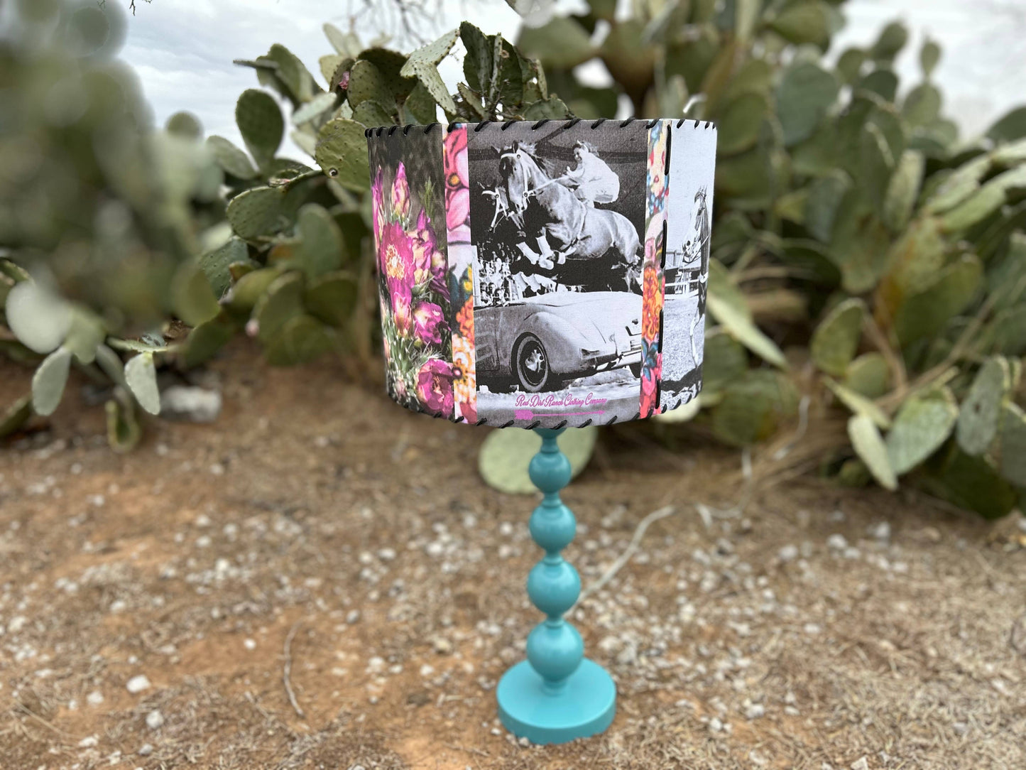 Lampshade Trick Rider