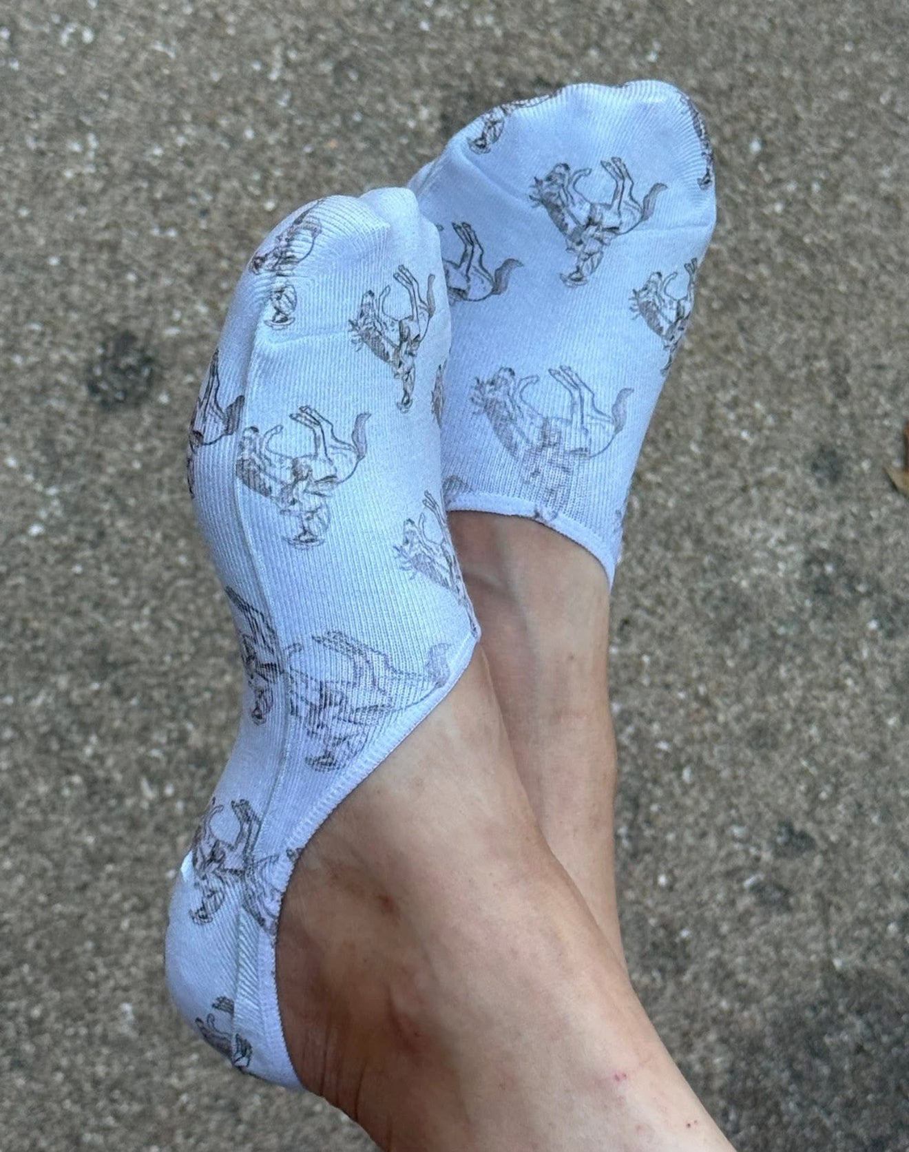 Western No Show Socks