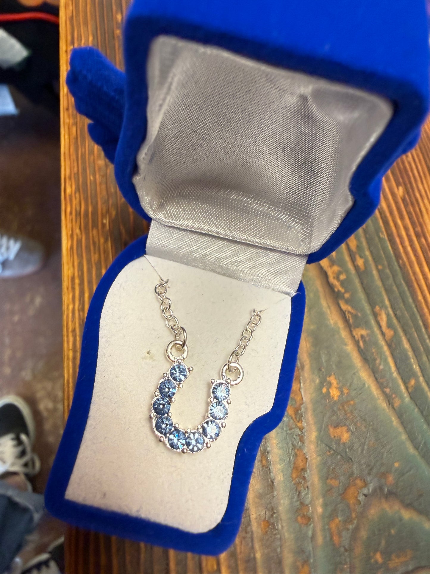 AWST Rhinestone Horseshoe Necklace