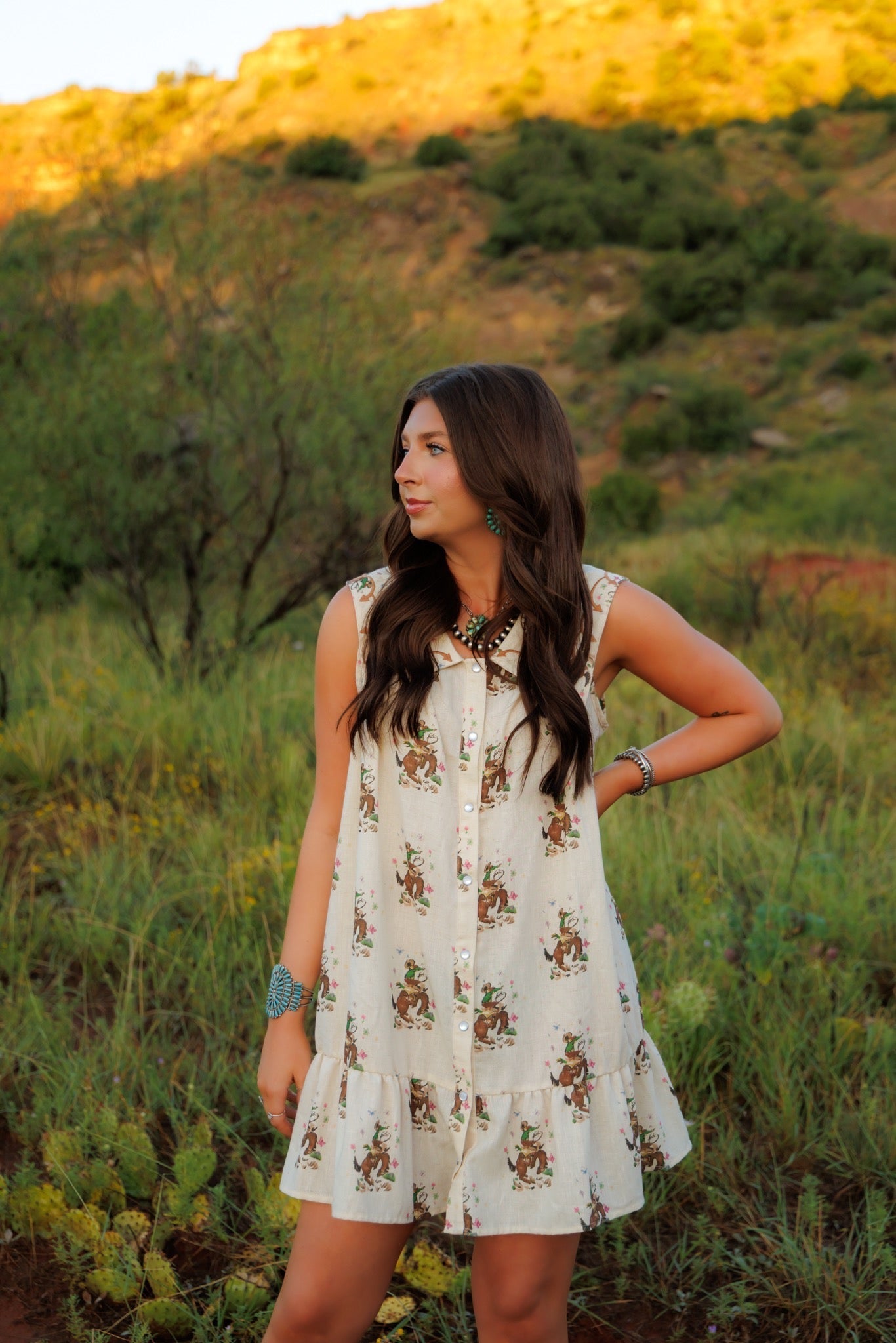 Howdy Cowboy Dress