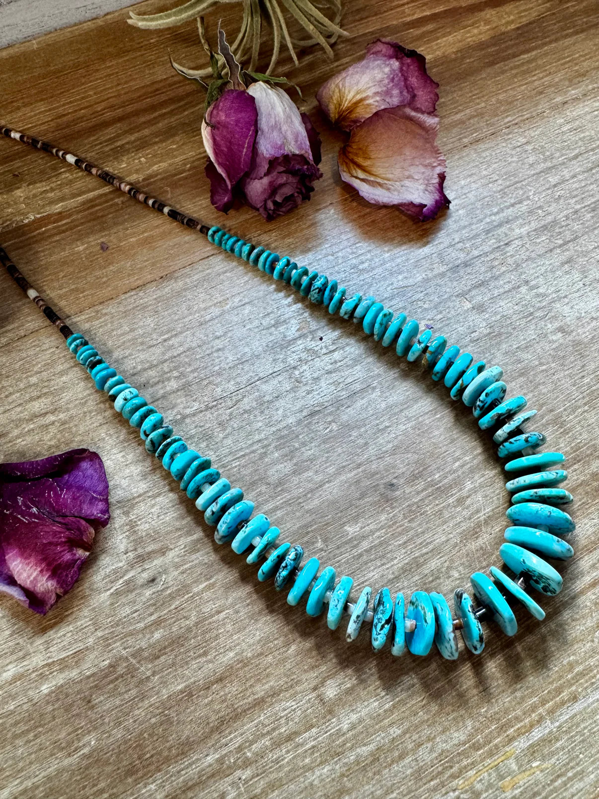 Shell & Turquoise Graduated
Necklace - 23"