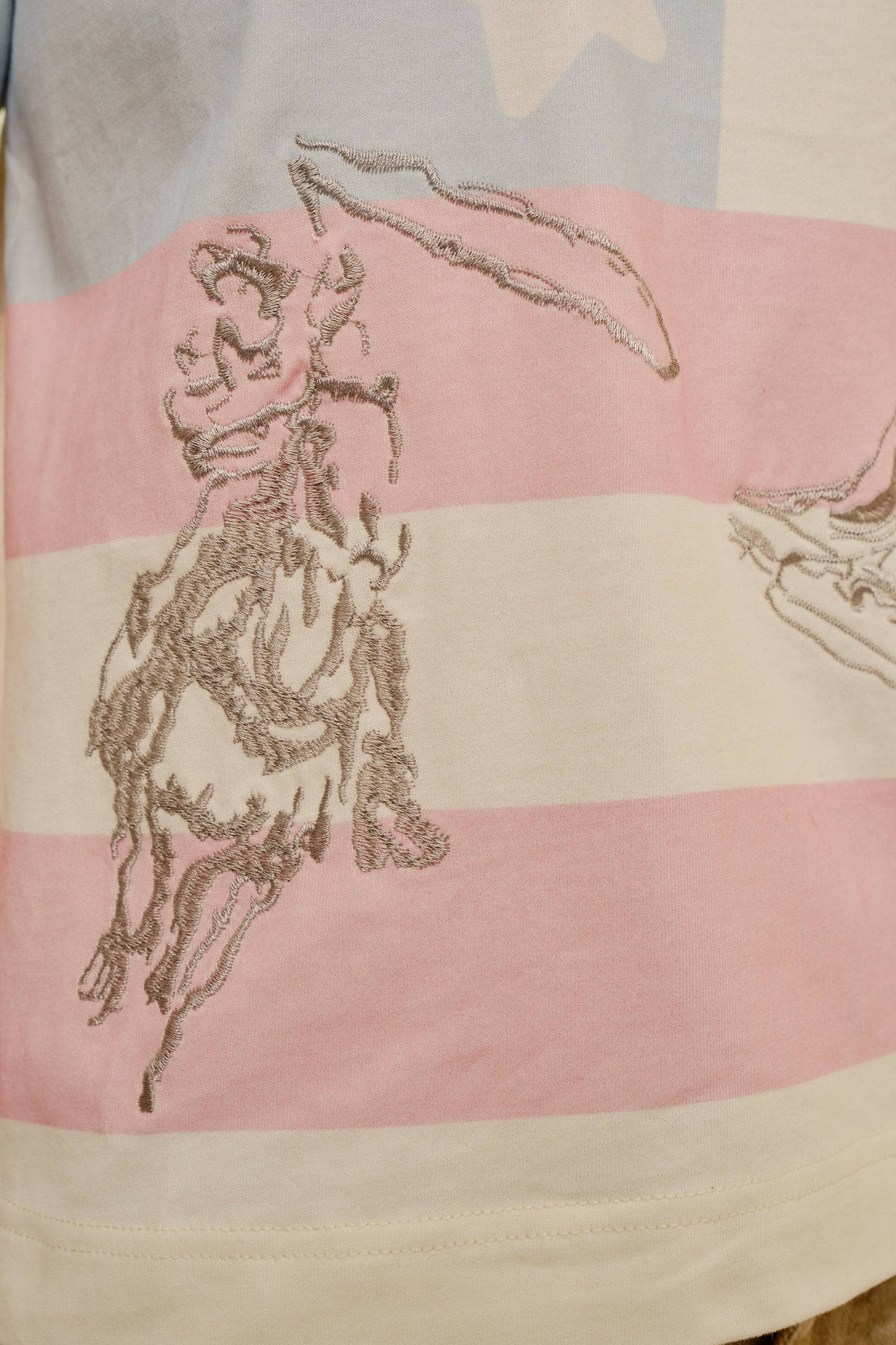 Western Flag Embroidery Crewneck Top