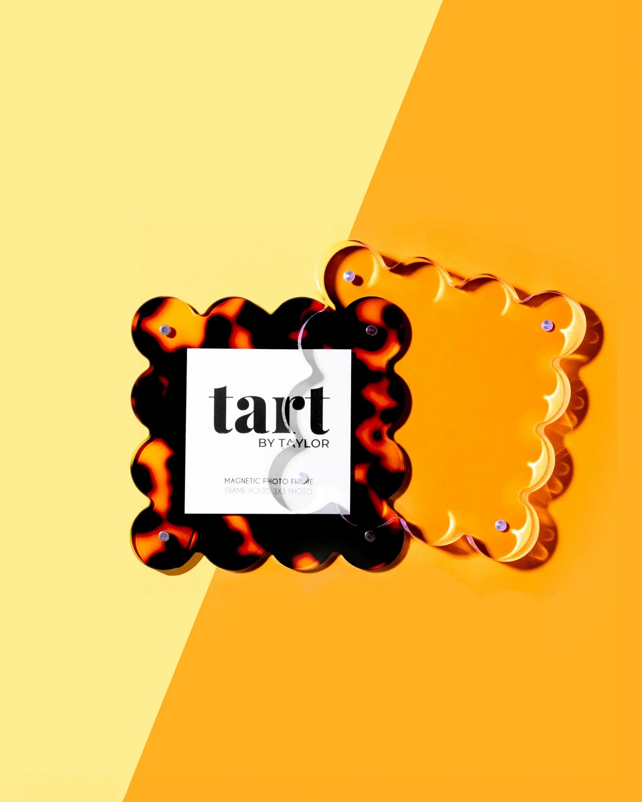 Tart Tortoise Mini Frame