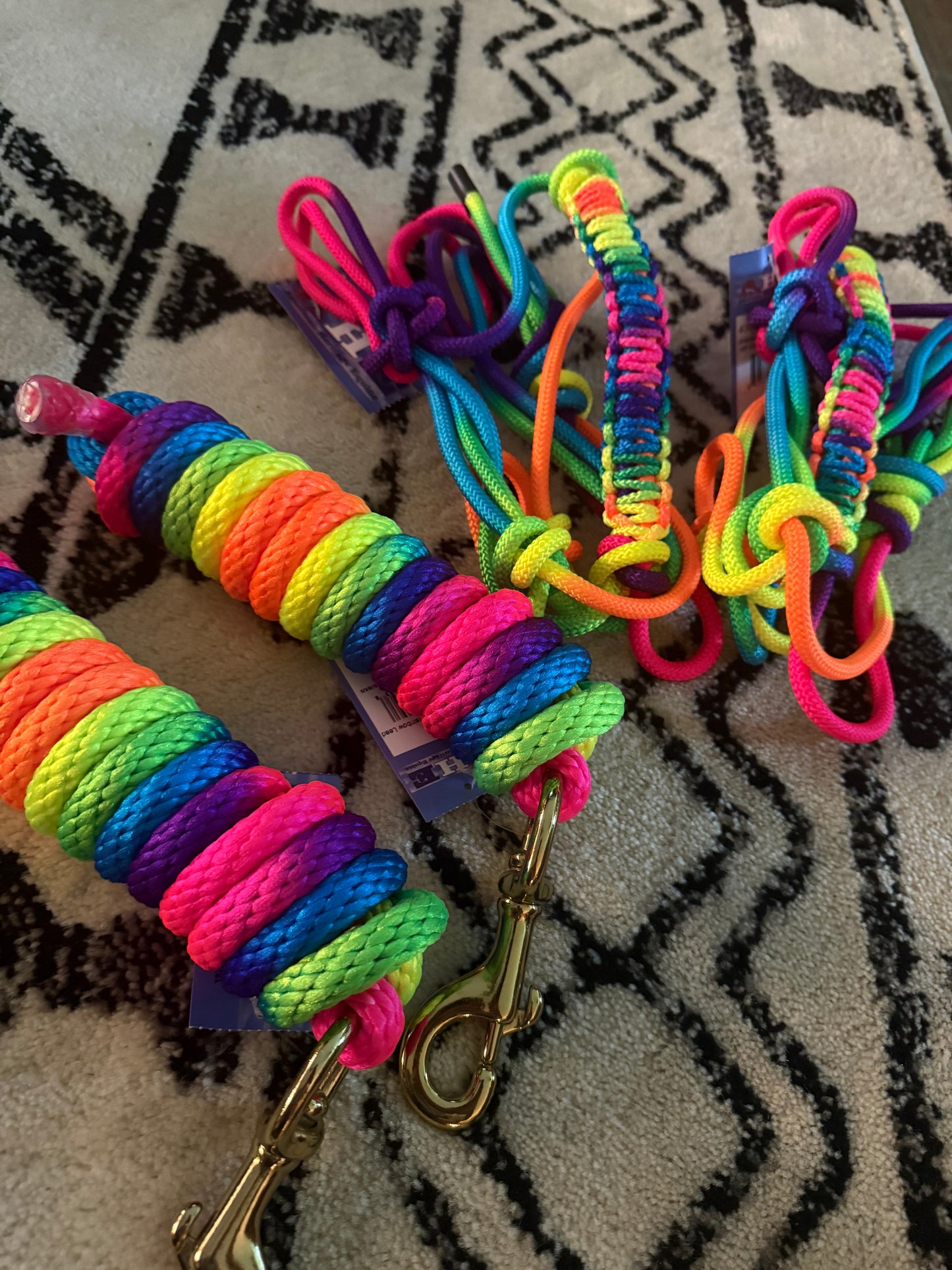 Rainbow Halter with Lead Rope
