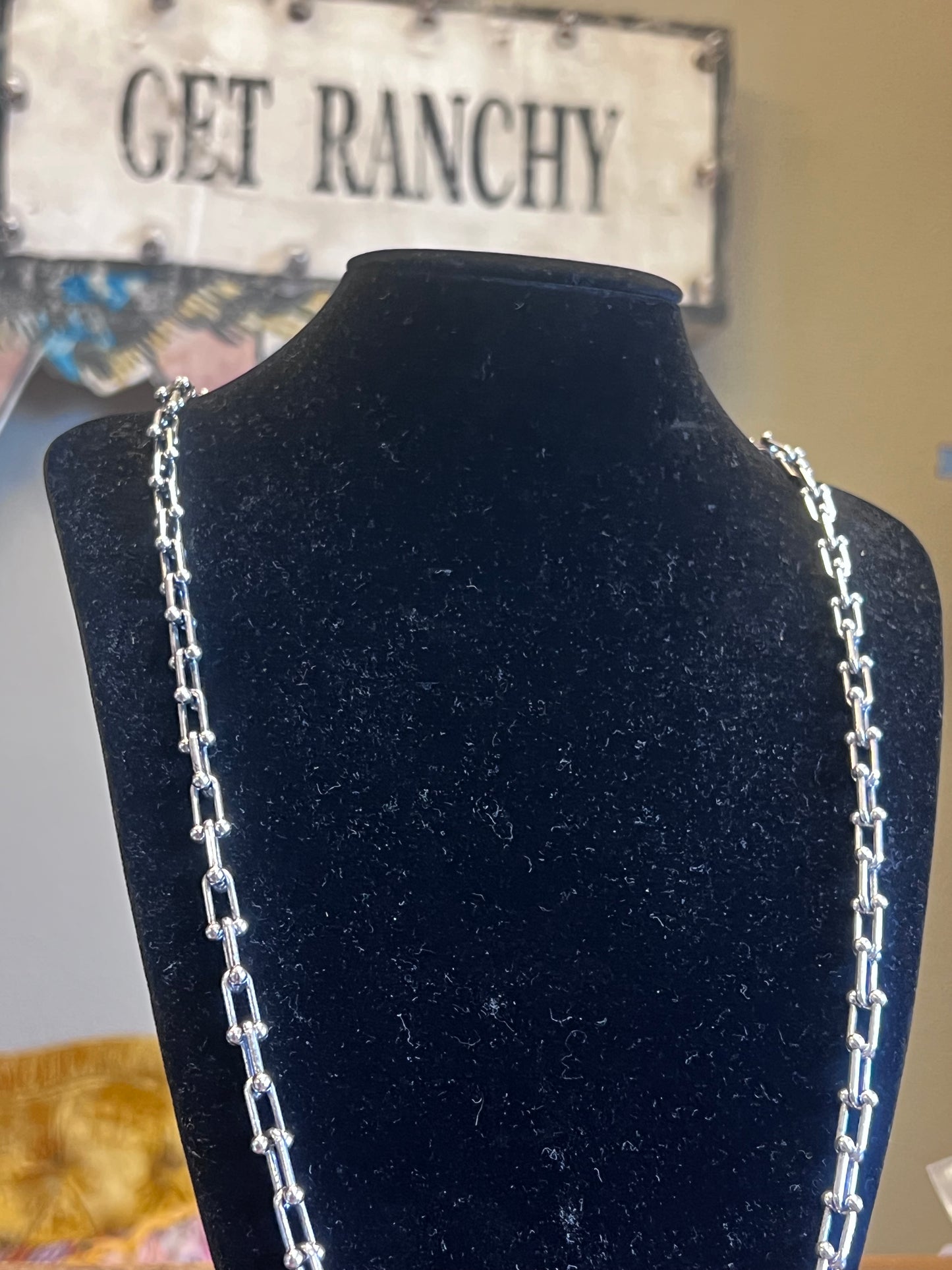 Long Graduated Link Necklace