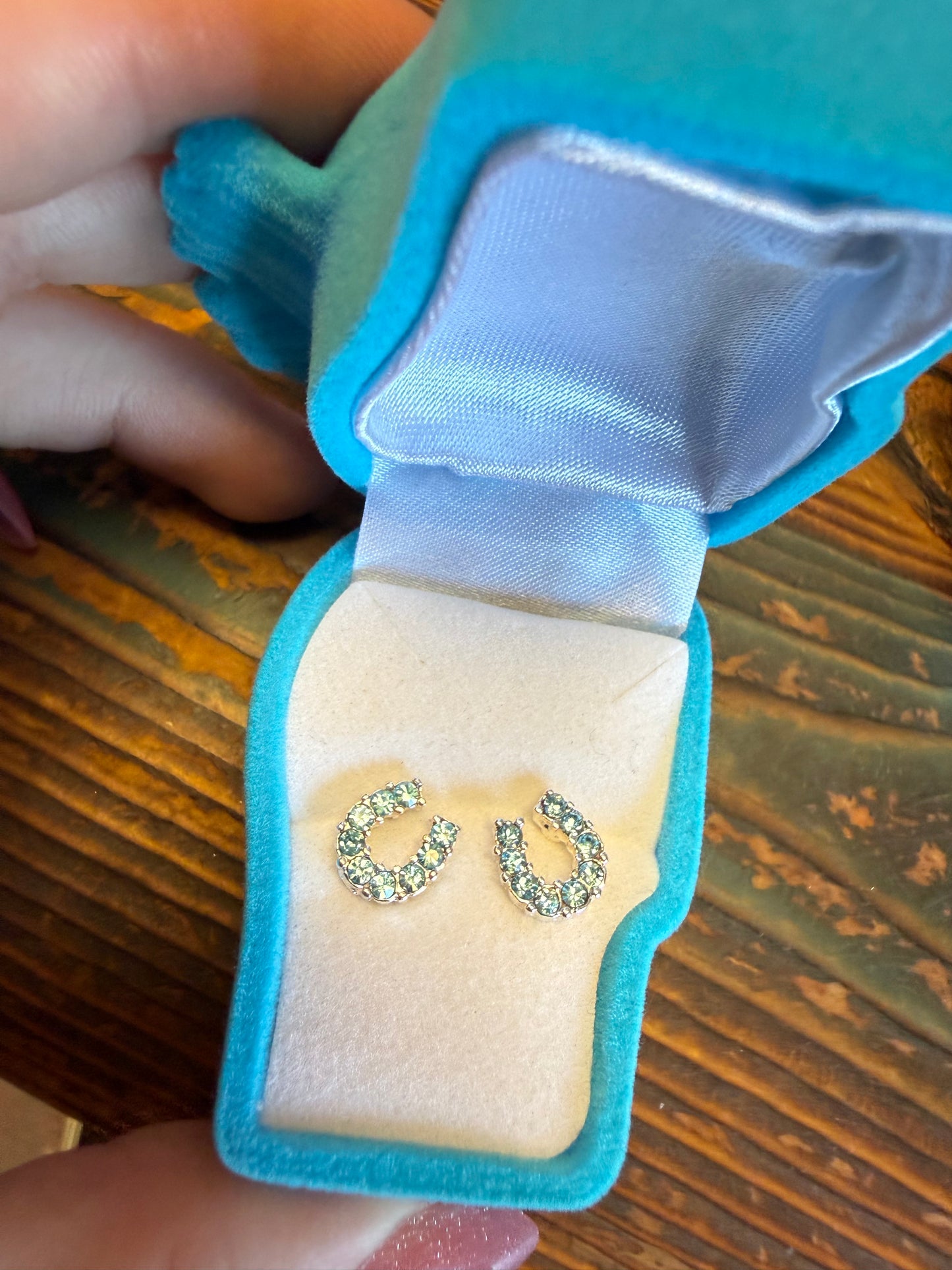 AWST Rhinestone Horseshoe Studs