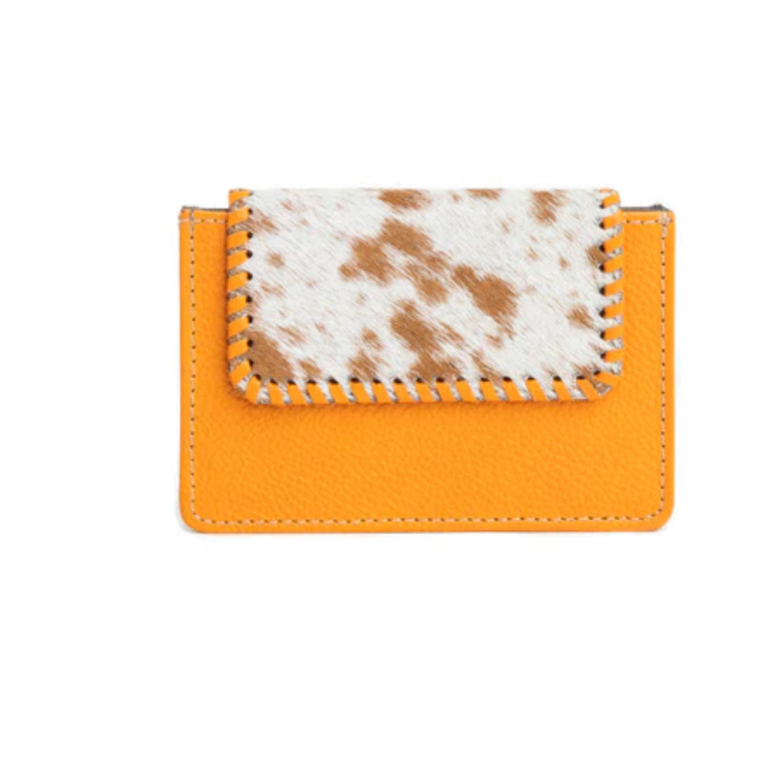 Brite Canyon Credit Card Holder