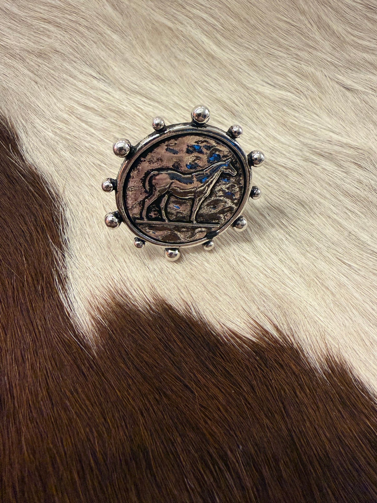 Quarter Horse Ring