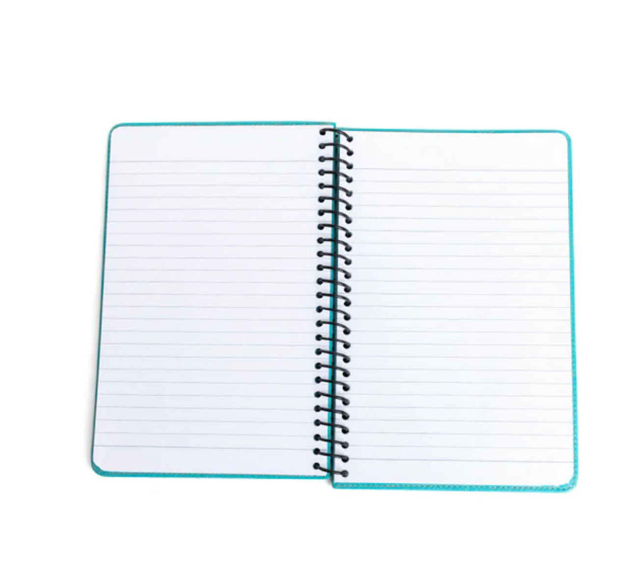 Steerhallow Canyon Diary