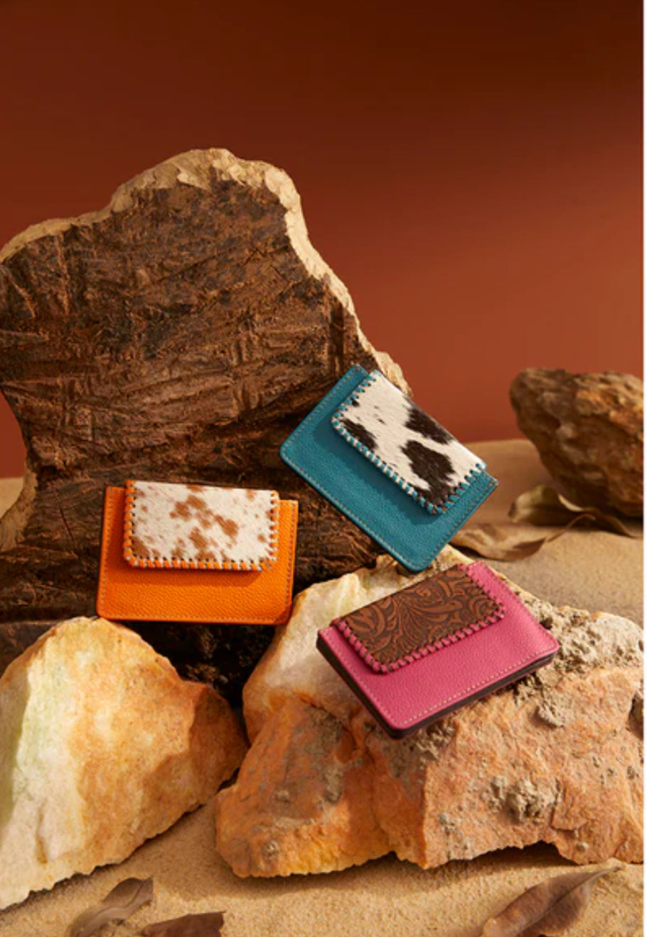 Brite Canyon Credit Card Holder