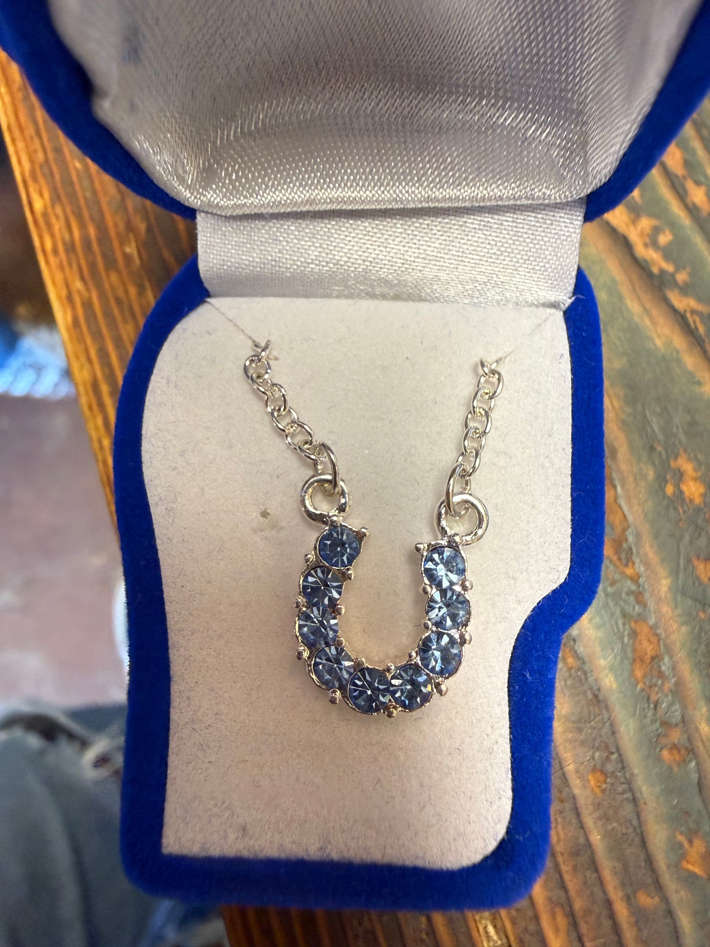 AWST Rhinestone Horseshoe Necklace