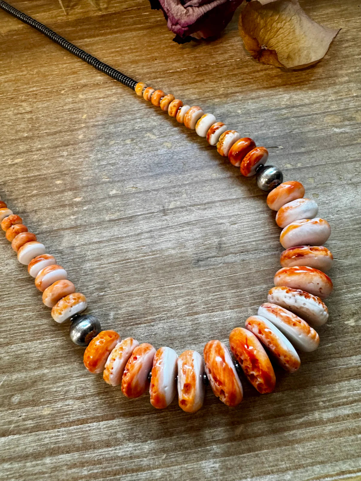 23 inch Graduated Orange Spiny
Necklace with Sterling Silver
Pearls