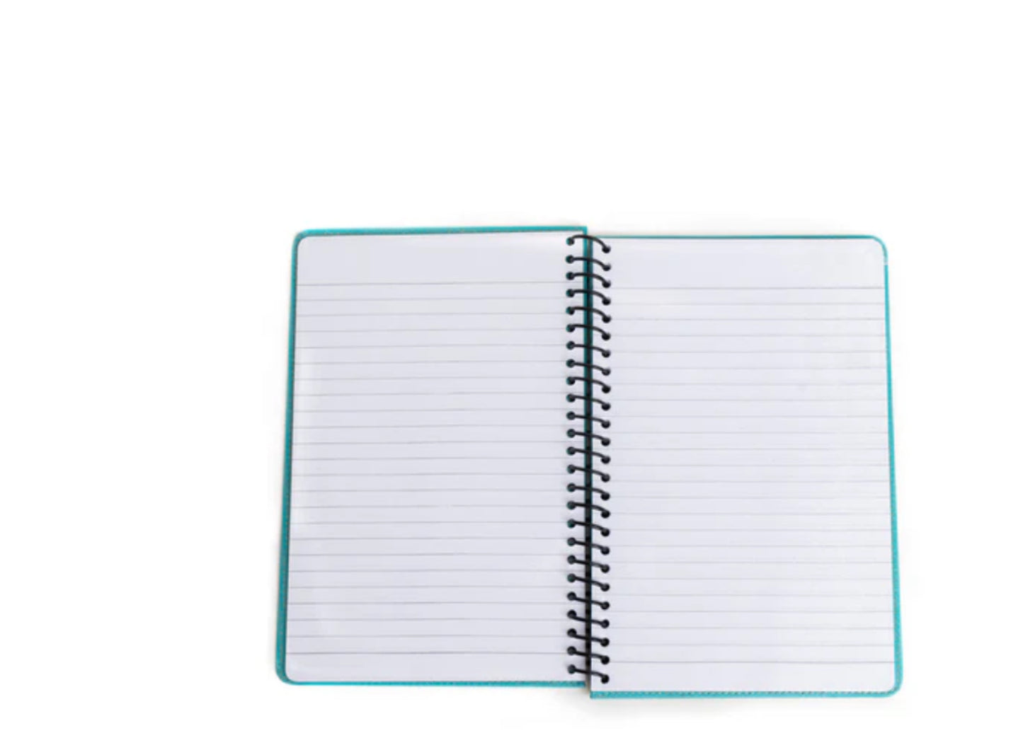 Steerhallow Canyon Diary