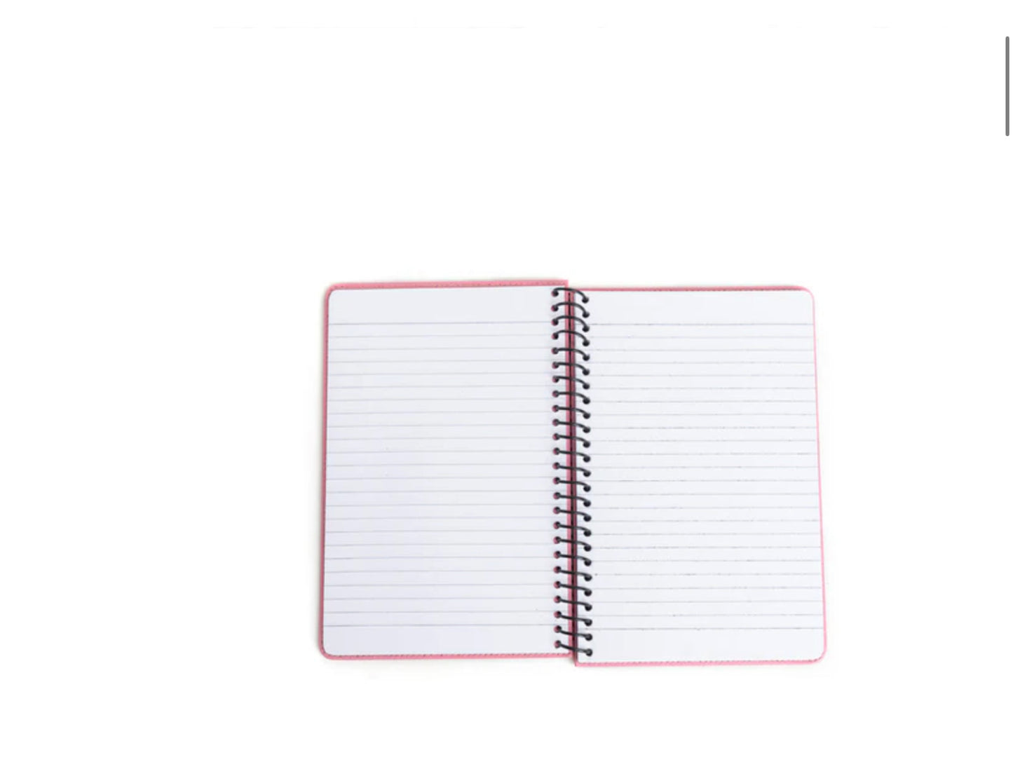 Steerhallow Canyon Diary