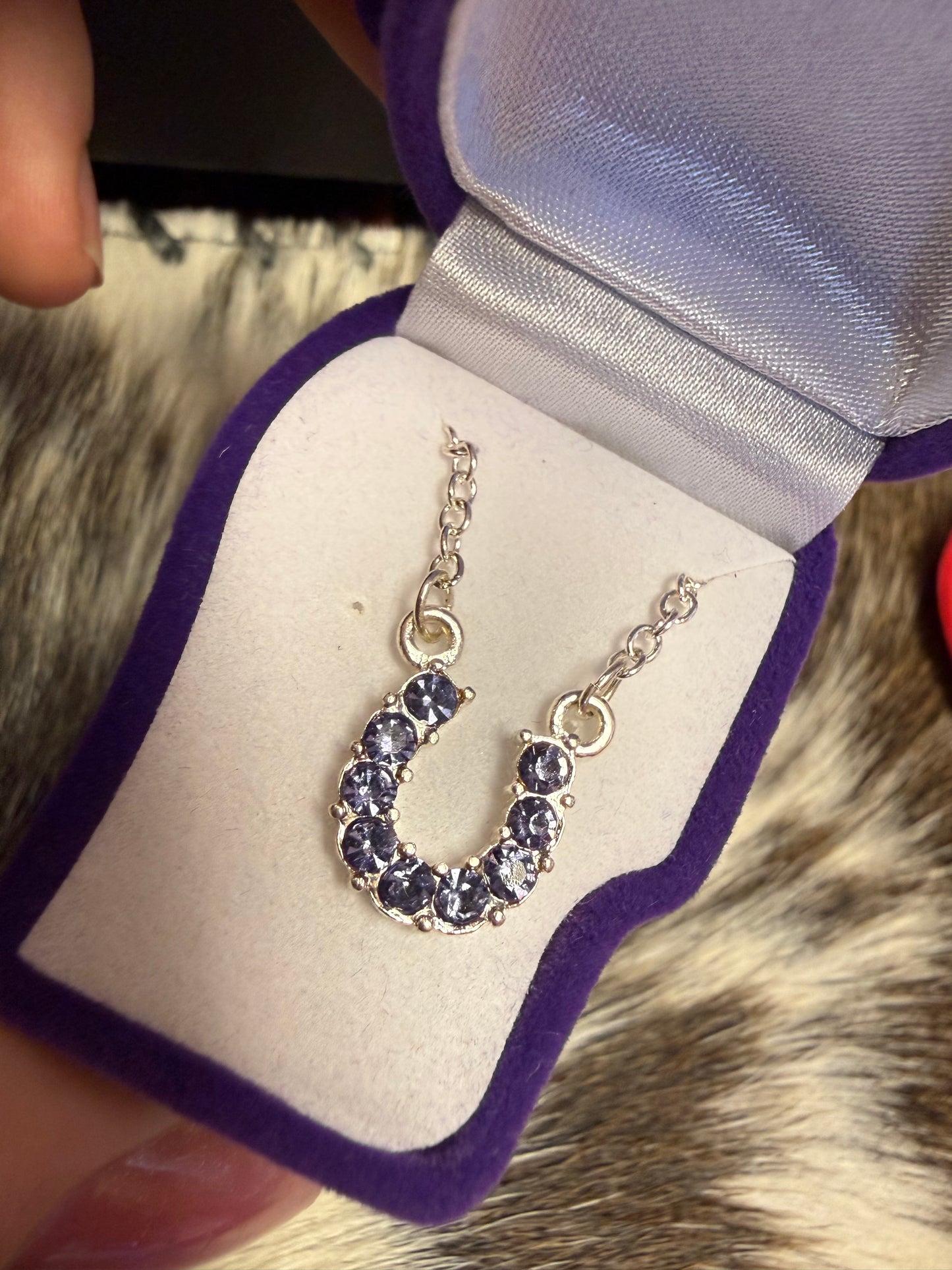 AWST Rhinestone Horseshoe Necklace