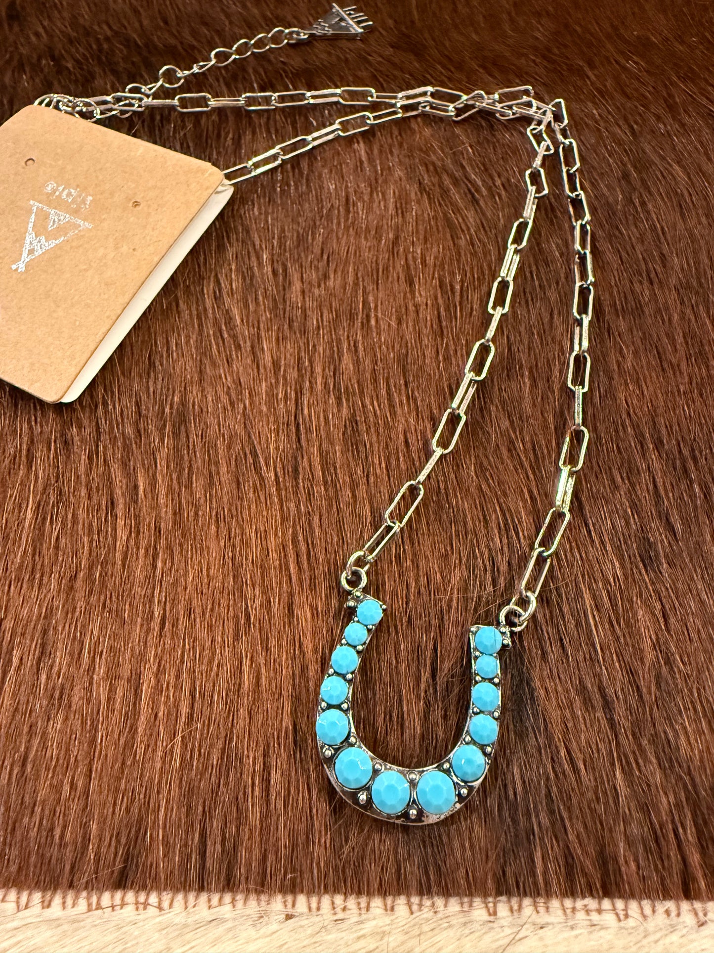 Horseshoe Hanny Necklace