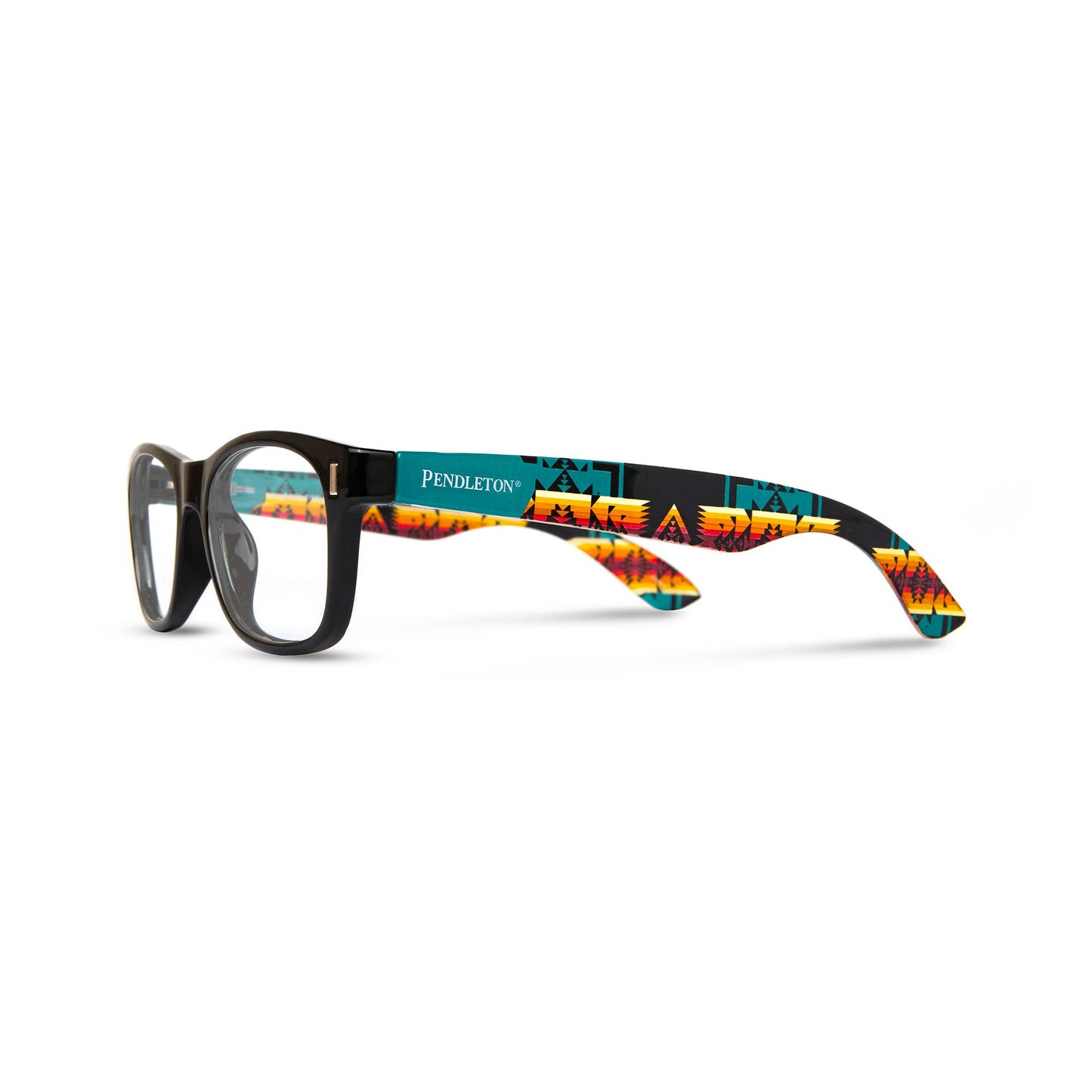 Pendleton Readers - Frontier: Black / Chief Joseph