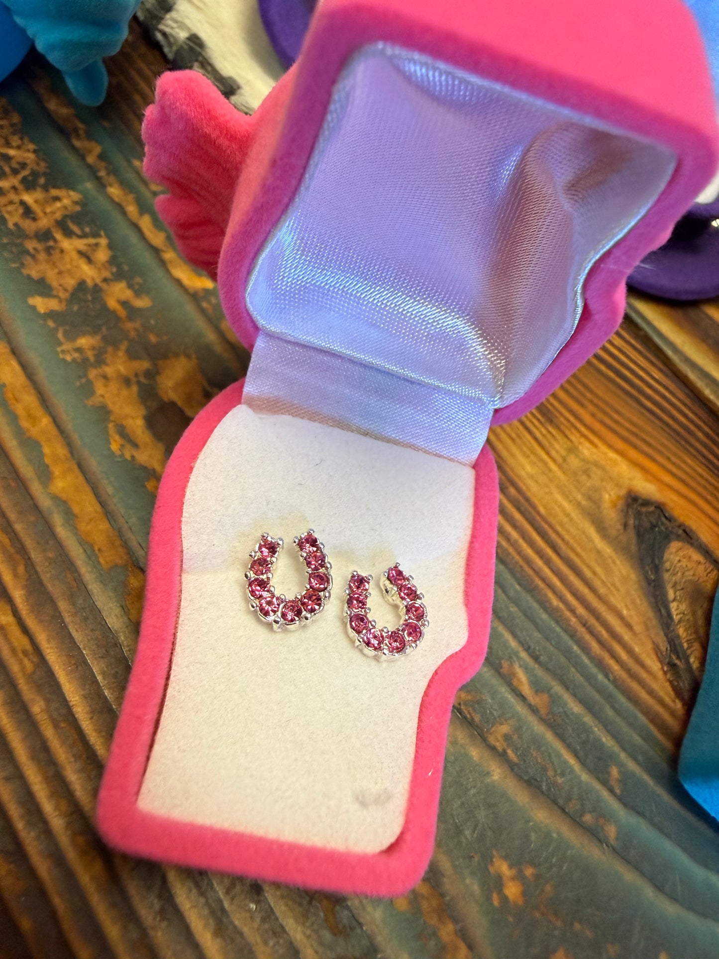 AWST Rhinestone Horseshoe Studs