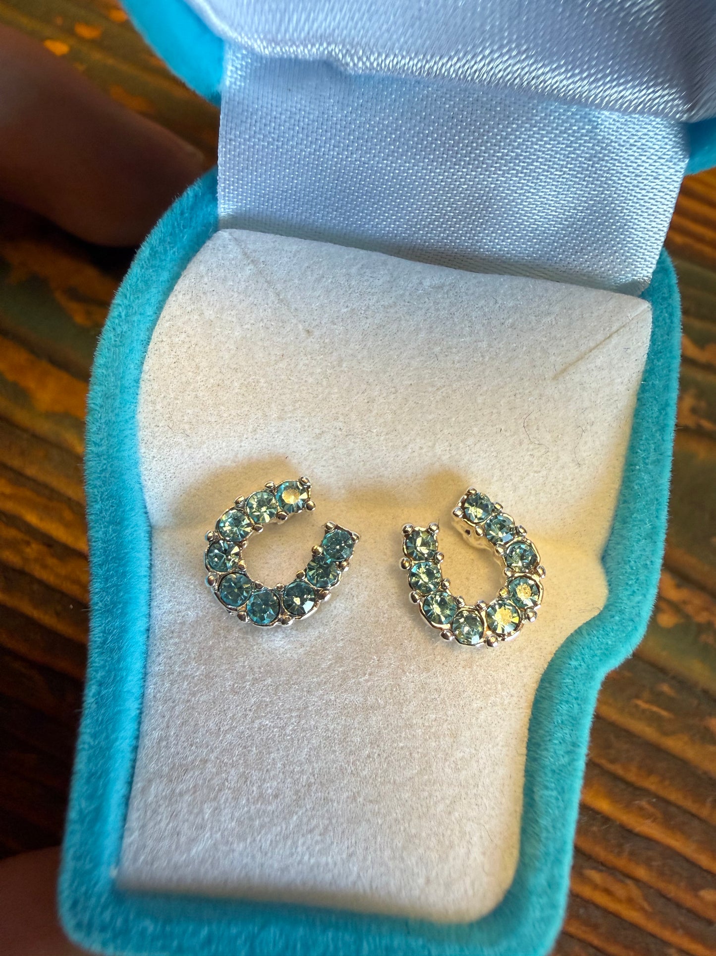 AWST Rhinestone Horseshoe Studs