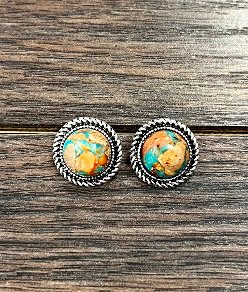 Kingsport Western 12mm Gemstone Stud Earrings