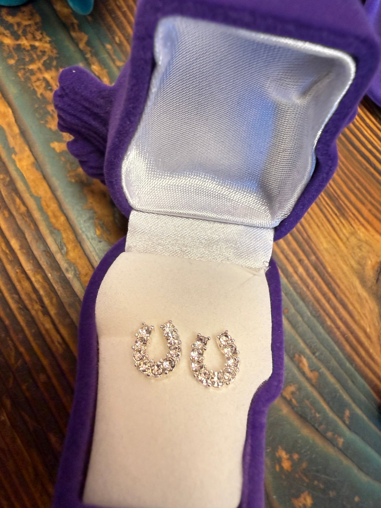 AWST Rhinestone Horseshoe Studs