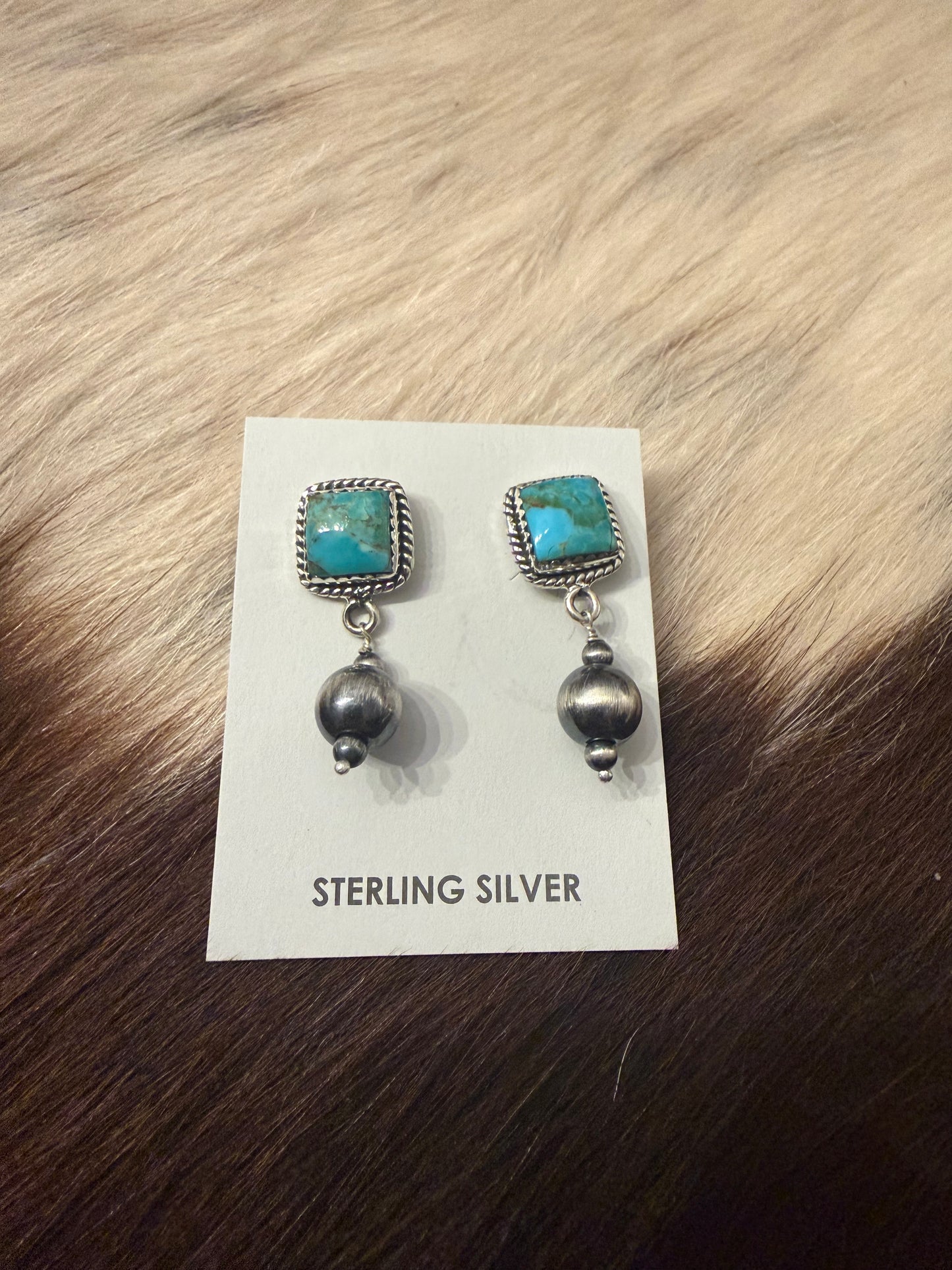 Gallup Earrings