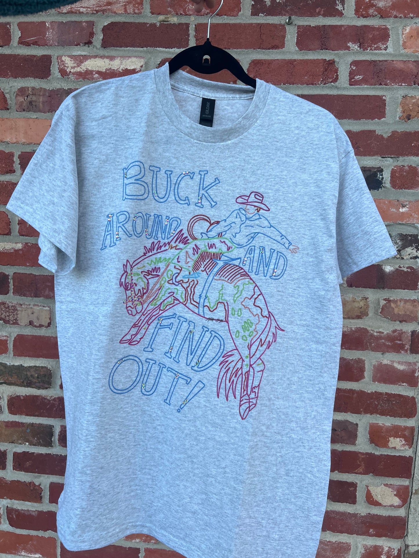 Buck Around And Find Out Tee