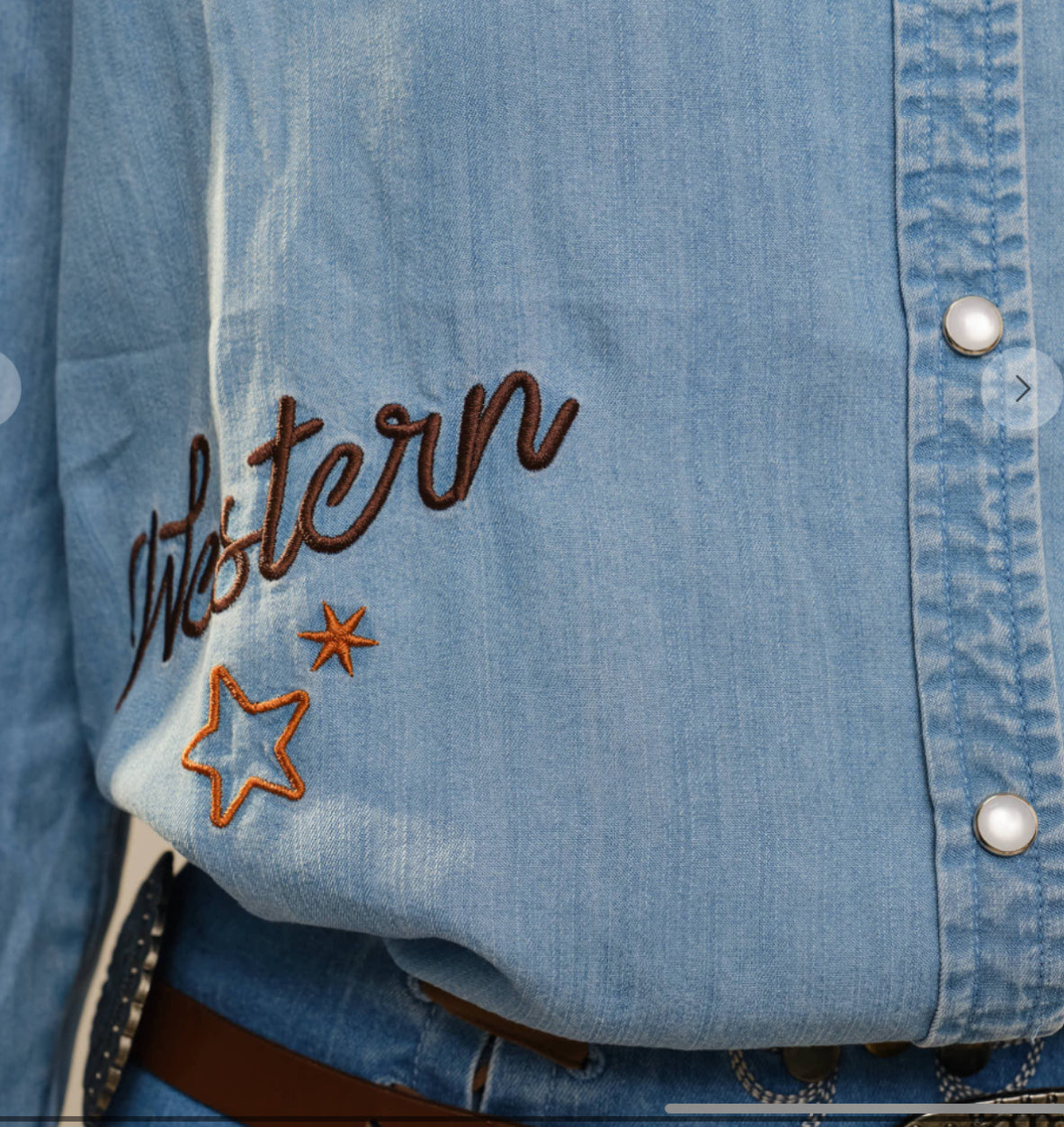Western Embroidered Snap Button Shirt