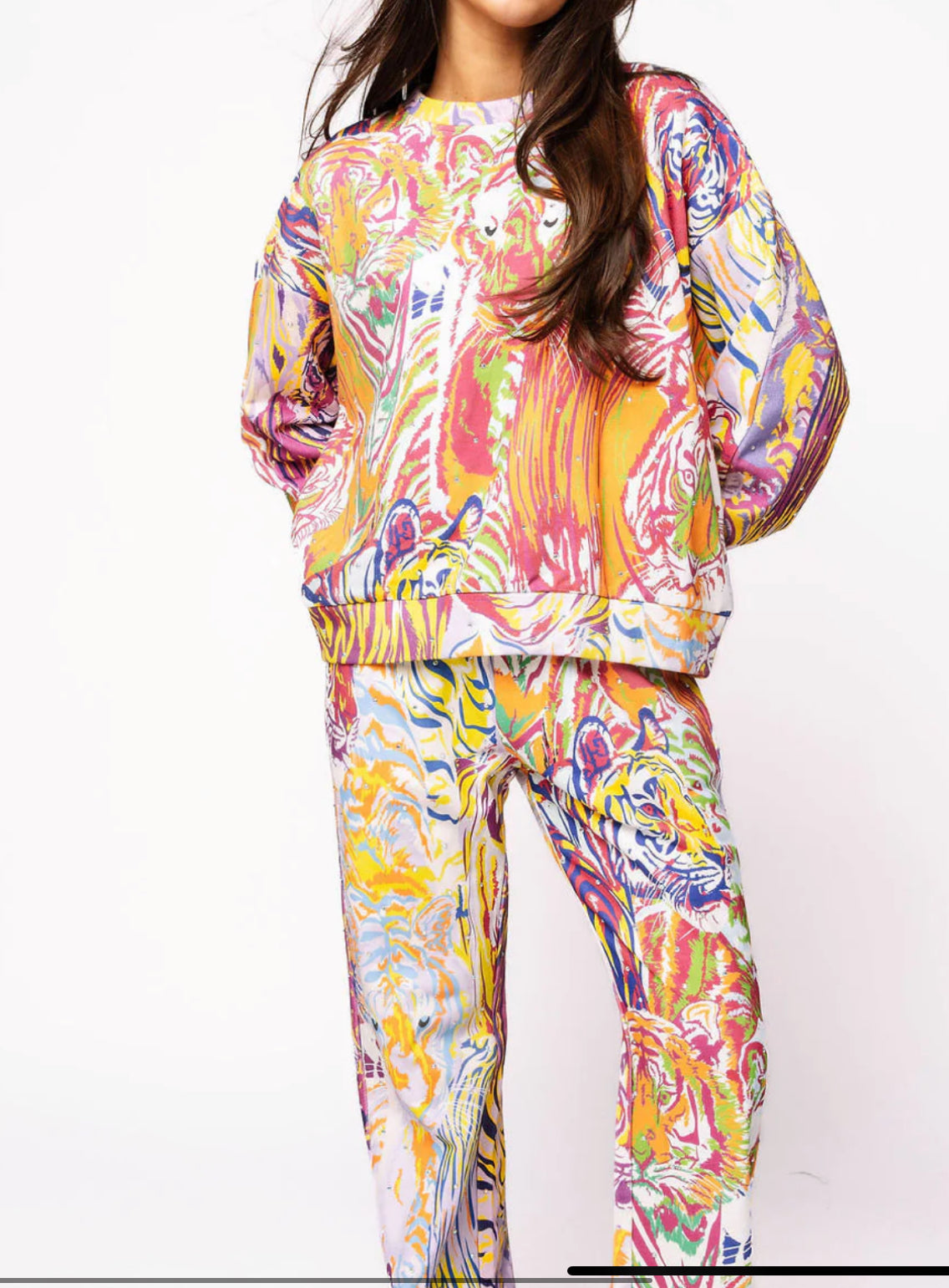 Queen Of Sparkles Rainbow Multi Abstract Tiger Sweatshirt OR Sweatpant