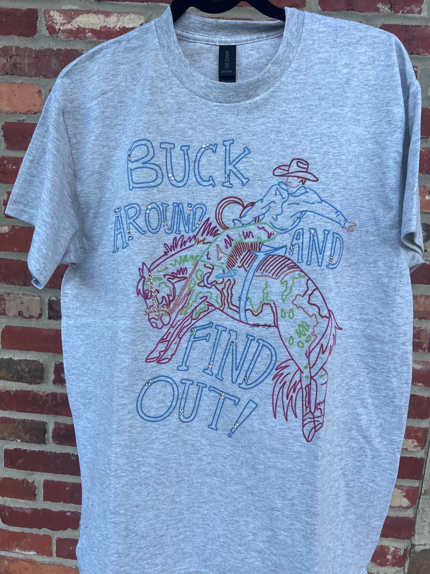 Buck Around And Find Out Tee