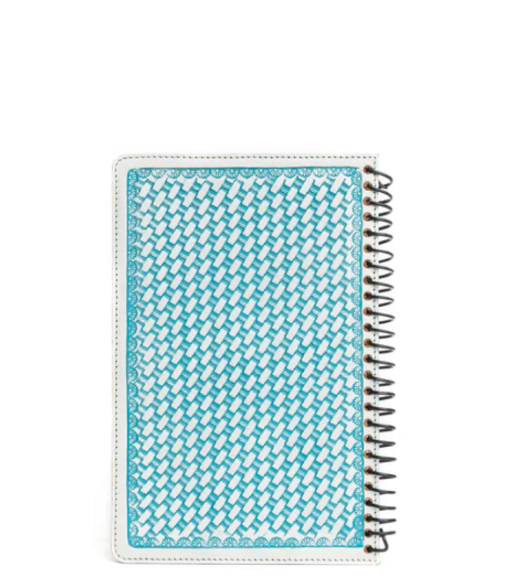 Steerhallow Canyon Diary