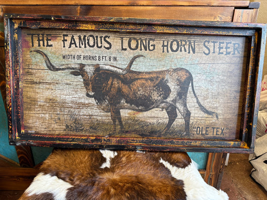 Longhorn Signs