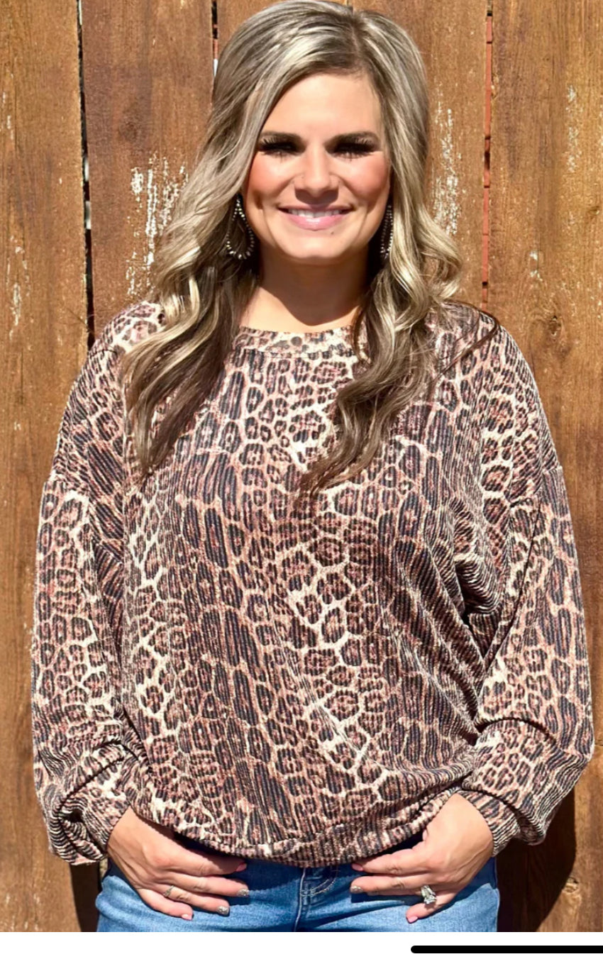 Hear Me Roar Sweater Top