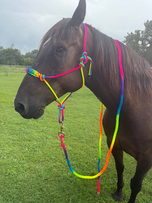 Rainbow Halter with Lead Rope
