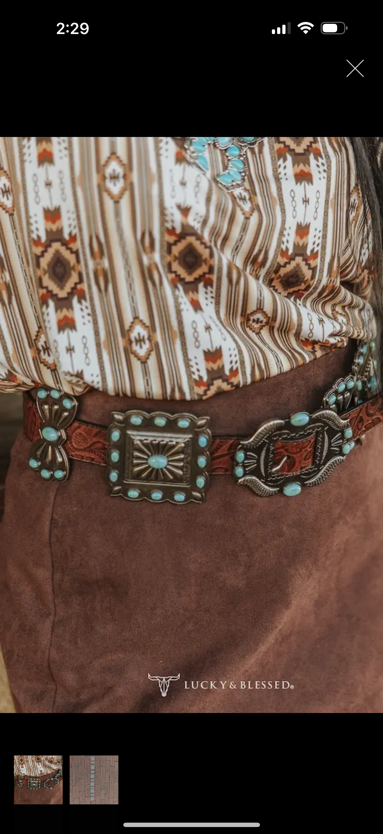 Stone Ribbon Concho Belt