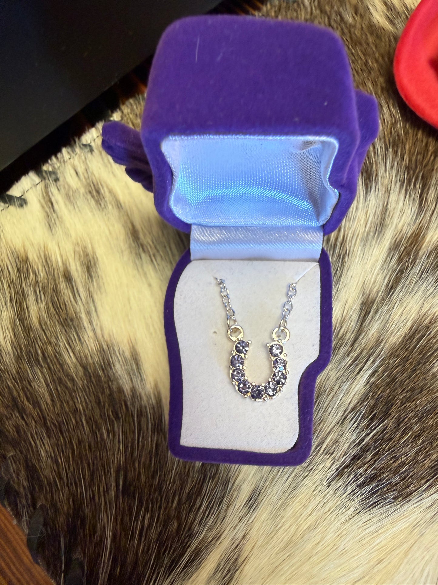 AWST Rhinestone Horseshoe Necklace