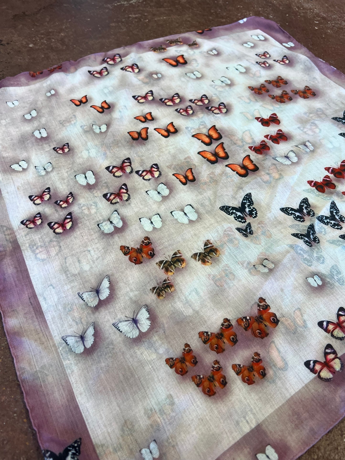 A Rare Bird Scarfs