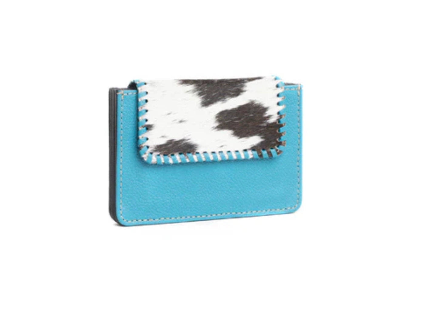 Brite Canyon Credit Card Holder