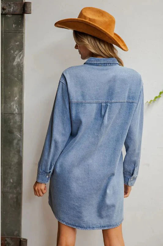 Denim Embroidered Yoke Dress