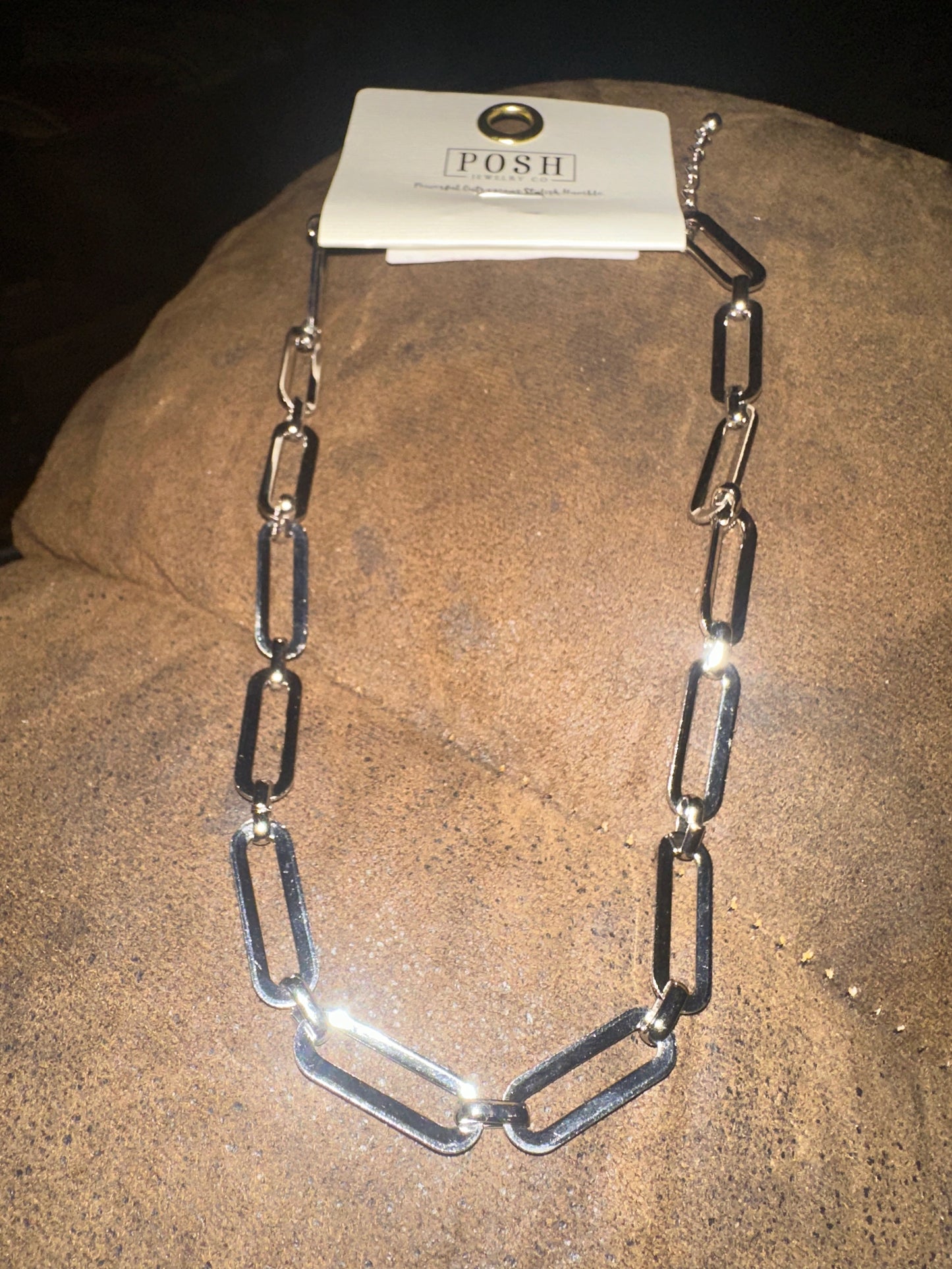 Posh Paperclip Necklace