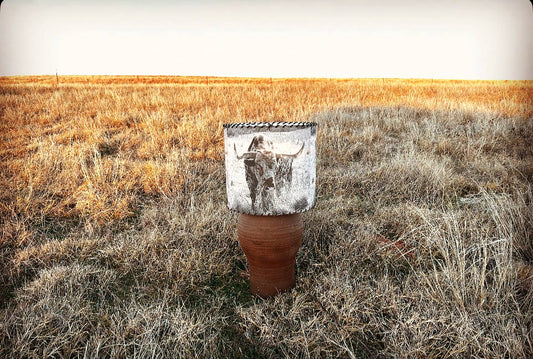 Lampshade Longhorn Bull Small Tall 8-inch